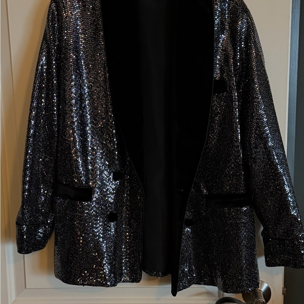 Zara Shimmering Silver Blazer with Black Trim - Picture 4 of 4